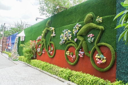 Huahin / Thailand - February 17 2019: decorated green climbing plants on the resort wallのeditorial素材
