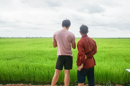 dad watching his son use Drone remote control in rice paddyの写真素材