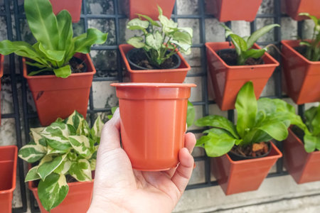 close up woman hold small flower pot in brick color for planting in home garden