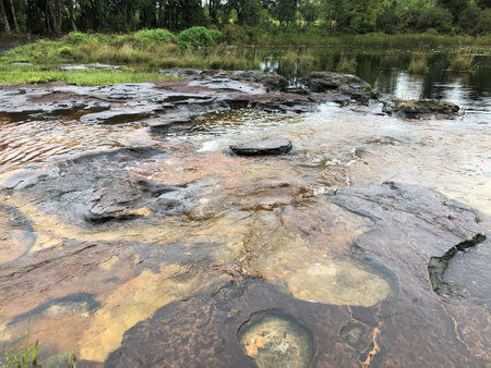 clean nature waterway in deep jungle in rainy seasonの写真素材