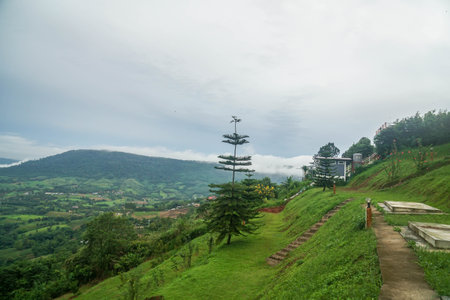 top green hill viewpoint with grass and trees in morningの写真素材