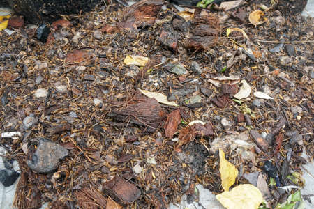 selective focus close up dirty and wet soil in land  for agricultureの写真素材