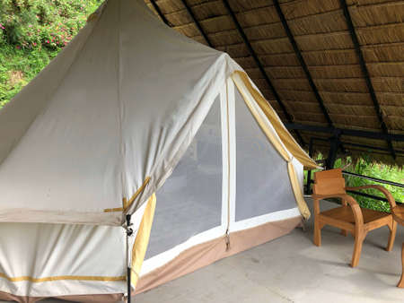 white tent for 2 persons with thatch roof for adventure in the jungleの写真素材