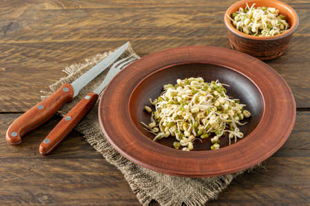 Germinated food. Sprouted beans in a plate on rustic wooden background. Macrobiotics.の写真素材