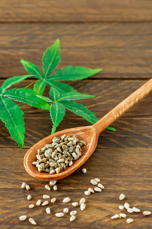 cannabis CBD or hemp products - seeds of hemp and green leaves on wooden table.の写真素材