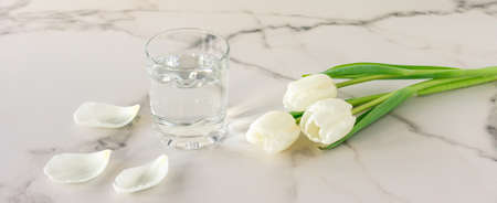A glass of purified fresh drinking water on a marble table with white tulip flowers. copy space for text.の写真素材