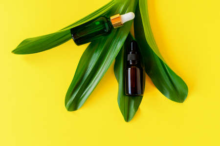 Serum bottle on green leaf. Trendy beauty product for young skin. Additional moisturizing step in everyday facial routineの写真素材