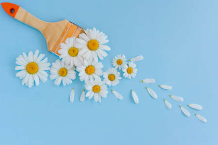 Flowers composition. Creative layout made of white cammomile flowers and paint brush on pastel background. Flat lay, top view, copy spaceの写真素材