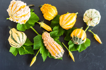 autumn composition of mini pumpkins, leaves and flowers on a black background. top view