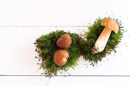 three white mushrooms in moss against the background of a white wooden table. top view