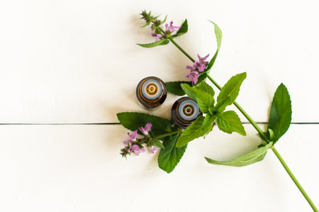 view on top of fresh green mint and glass bottles of essential mint oil on a white background. concept of natural herbal medicinal aromatic plantsの写真素材