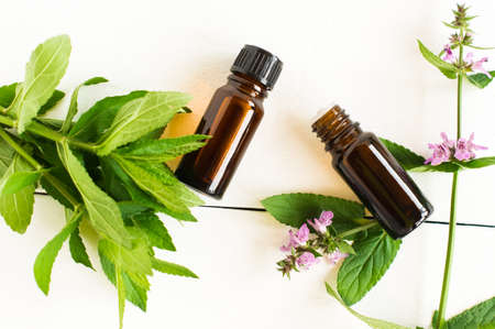 peppermint essential oil in glass bottles of dispensers with fresh mint leaves on a white background. top viewの写真素材