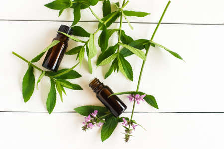 mint essential oil in bottles of droppers and twigs of mint on a white wooden tableの写真素材