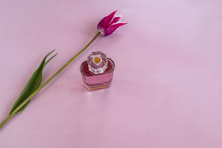 a bottle of crystal perfume with a delicate flower. top view. serene background. a copy of the space. aroma presentation.の写真素材