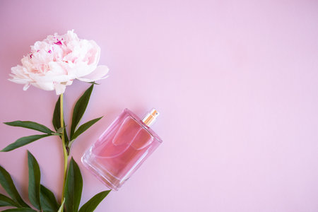 a glass perfume bottle on a pink background with a beautiful peony flower. aroma presentation. unnamed bottle for presentation. space for textの写真素材
