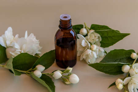 a bottle of medicine of brown glass with a dropper with organic essential oil of jasmine flowers on a pastel background. spa. aromatherapyの写真素材