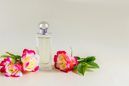 Beautiful bottle of women's perfume on a pastel background with a chic flower of fragrant rose. front view. perfume template. a copy spaceの写真素材