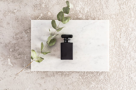 top view of a black matte bottle of men's perfume on a marble podium and a eucalyptus branch. gray concrete background. space for textの写真素材