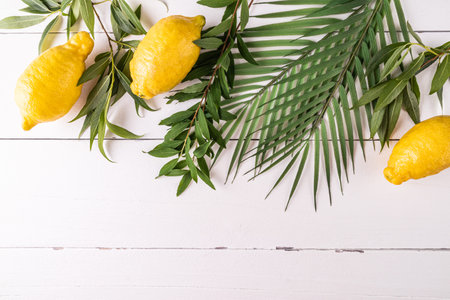 Jewish harvest festival. Traditional symbols of the holiday on a white wooden background. palm...
