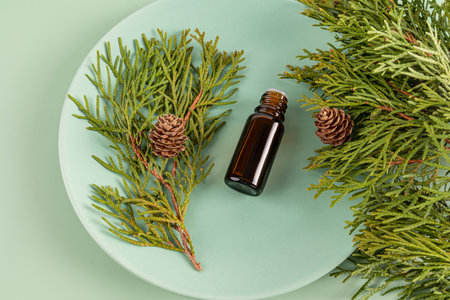 A medical bottle with a dropper lies on a green plate among the twigs of fragrant thuja. top view. Aromatherapy, alternative to medicine.の写真素材