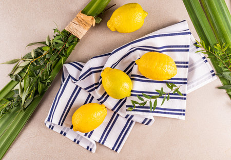 Festive composition for the Jewish holiday Sukkot. The four main symbols of the holiday are etrog, lulav, myrtle, willow on a white and blue towel.の写真素材