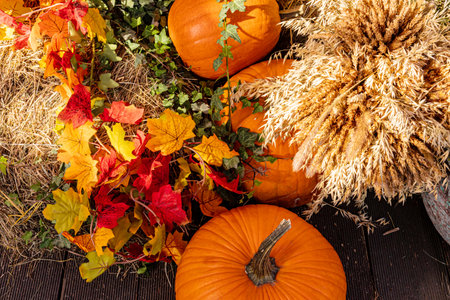 Beautiful autumn composition with a set of autumn harvest. orange pumpkins, a bunch of ears of bread and bright leaves, berries. top view. backgroundの写真素材