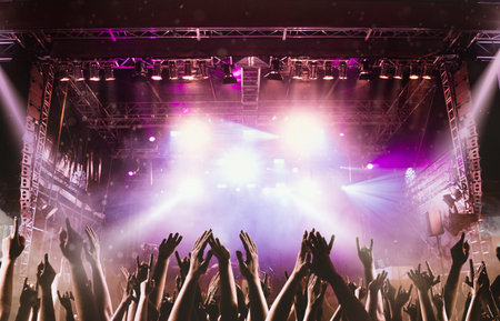 Crowd at a concert