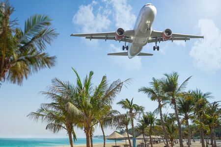 Airplane landing in paradiseの写真素材