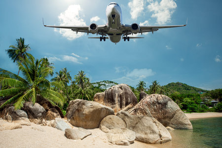 Passenger airplane landing on the beach with palm trees and rocks.