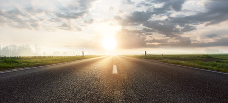 Asphalt road through the field at sunset. Panoramic view