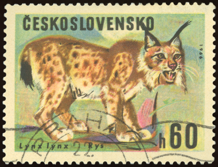 CZECHOSLOVAKIA - CIRCA 1966: a stamp, printed in Czechoslovakia, shows a Rys animal, circa 1966.のeditorial素材
