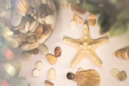 top view of a white space for notes with a starfish, sea small stones, seashellsの写真素材