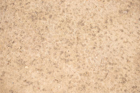 Texture of the ground - close-up of a fragment of a compact and slightly rocky surface of the groundの写真素材