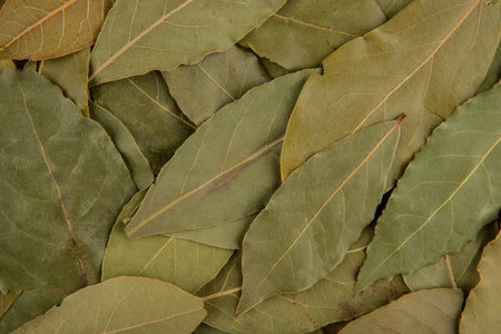 Bay leaves texture - top view and closeup of dried bay leaves