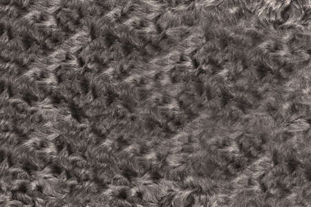 Fur texture - a close-up of a fragment of a women's graphite fur coatの写真素材