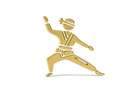 Golden 3d judo icon isolated on white background - 3d renderの写真素材