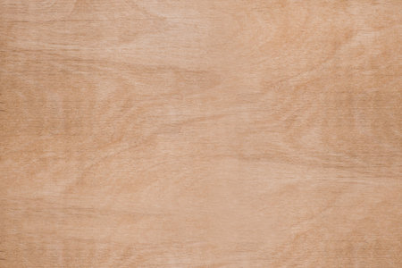 Wood texture - top view and close-up of light brown furniture veneerの写真素材