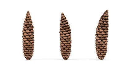 Three spruce cones isolated on a white background - 3D renderの写真素材