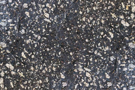 Ground texture - close-up of a fragment of compact and stony ground - rocky stony ground backgroundの写真素材