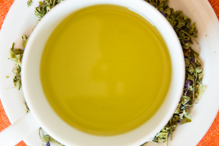 Mallow herbal tea cup on orange backgroundの写真素材