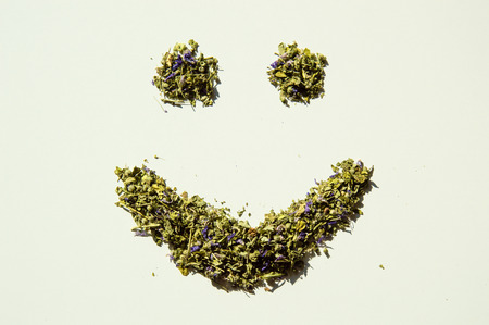 Happy smile of mallow herbal tea isolated closeup on white backgroundの写真素材