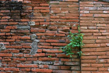decay old red brick wall, wide panorama of masonry, bricklaying, old brick wall texture for background.の写真素材