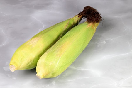Fresh raw Corncobs or corn ears with green leaves isolated on reflection surface.