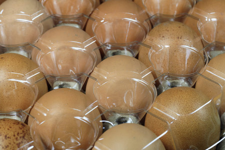 raw of chicken eggs in Polyethylene terephthalate (PET or PETE) package with nature light.