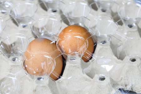 Couple of chicken eggs in Polyethylene terephthalate (PET or PETE) package with nature light.