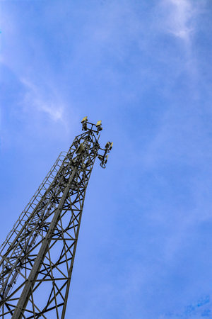 Wireless Communication Antenna pole, Mobile phone mast antenna pole.の写真素材