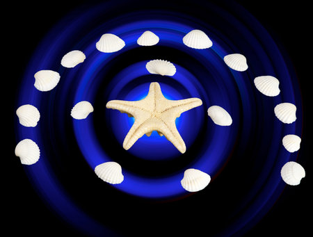 Clam shells and starfish on blue swirl backround. Nautical Decor.の写真素材
