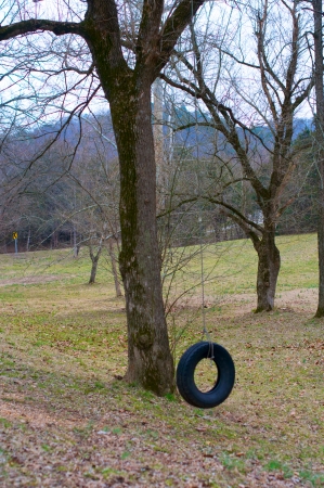 A tire swing in a country Park in winter.の写真素材