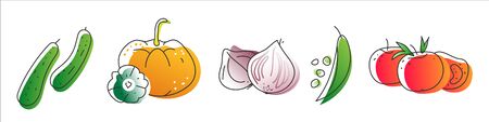 Collection of eco natural harvest products, illustrations in sketchy style of healthy eco natural vegetables, free hand vector drawing. Images of farming veggies, good for farming market, restaurantのイラスト素材