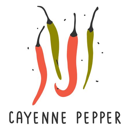 hand drawn vector illustration of various kinds of pepper vegetable. Simple colorful handdrawn drawing of cayenne hot pepper sort. Cooking ingredient isolated element in sketch style.のイラスト素材